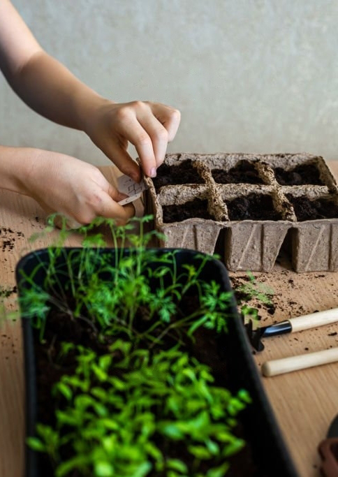 Puutarhurin tammikuun pääkirjoitukset 